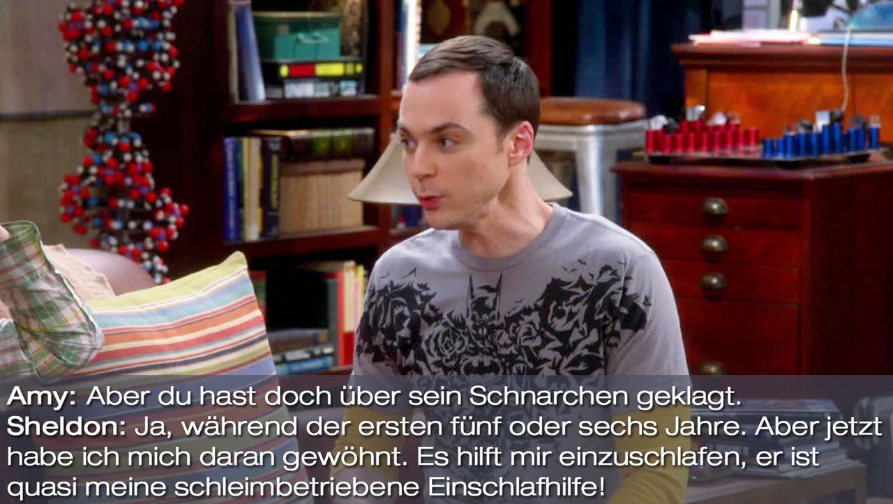 The Big Bang Theory Die besten Sprüche zur Staffel 8