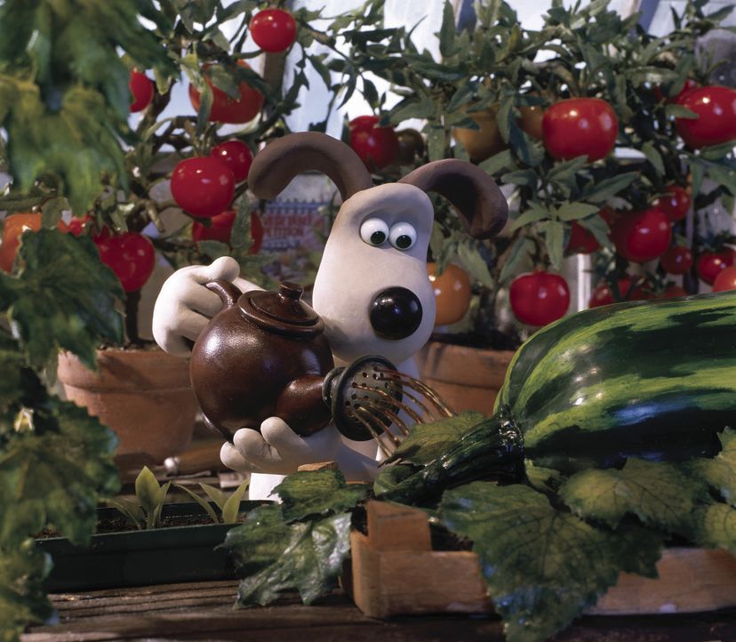 Der jährliche Gemüsewettbewerb steht kurz vor der Tür und Gromit legt sich mächtig ins Zeug, denn schließlich möchte er gerne die Goldene Mohr... - Bildquelle: Telepool GmbH