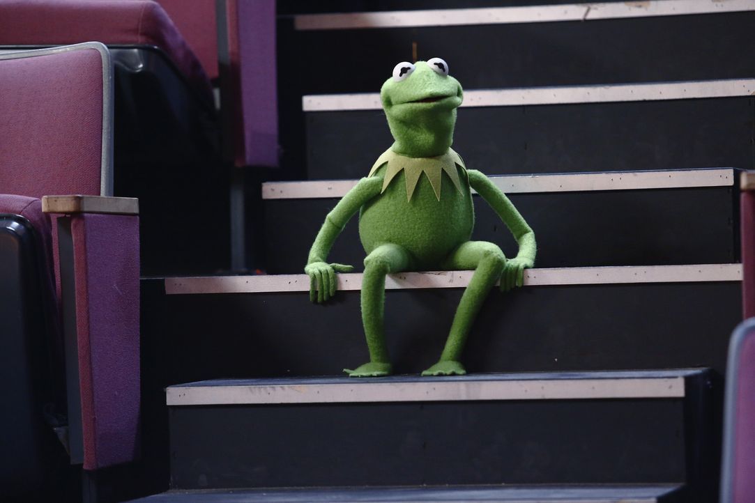 Macht sich Sorgen um Miss Piggy, die sich bei Proben für eine Tanzeinlage das Bein gebrochen hat: Kermit ... - Bildquelle: ABC Studios