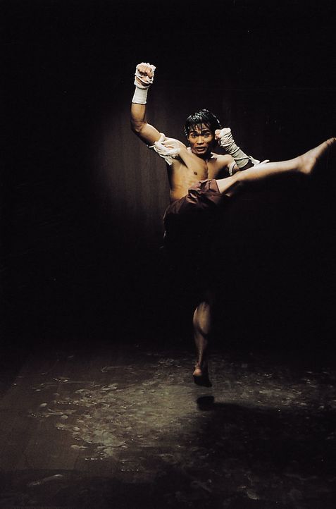 Obwohl Ting (Tony Jaa) bisher vermieden hat, seine Kampfkunstfähigkeiten in ihrer letzten, tödlichen Konsequenz einzusetzen, ist eine Auseinanders... - Bildquelle: e-m-s new media AG