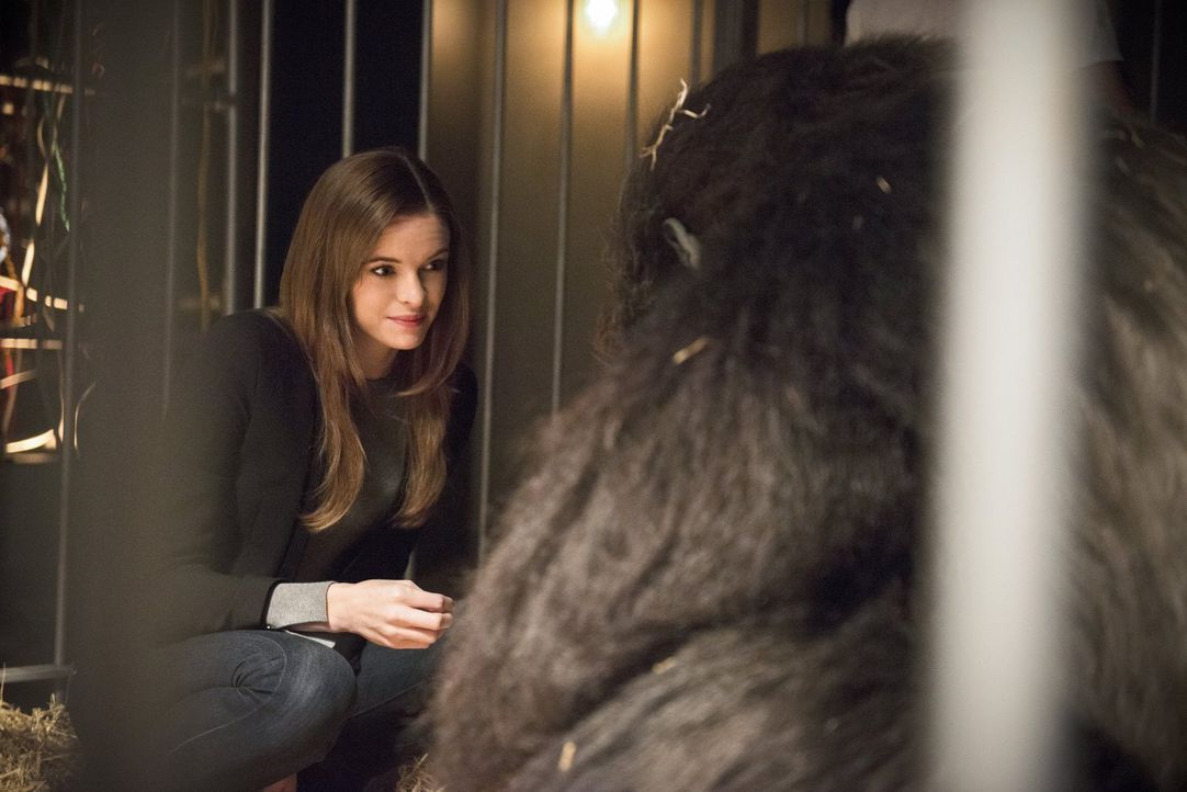 Caitlin (Danielle Panabaker, l.) wird von Grodd entführt und das ausgerechnet zu dem Zeitpunkt, als Barry nicht einsatzfähig ist ... - Bildquelle: 2015 Warner Brothers.