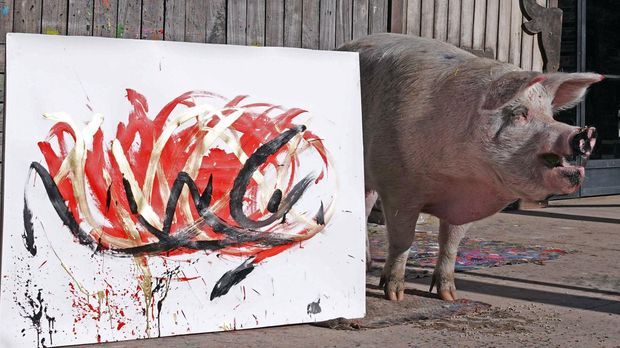 Südafrikanisches Schwein malt saustarke Kunst