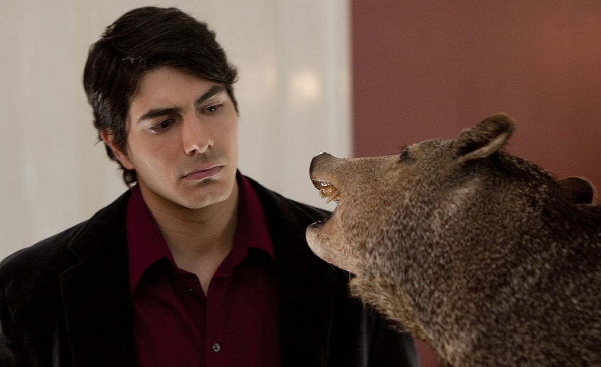 Als Überwacher aller Untoten der Stadt New Orleans gerät der junge Privatdetektiv Dylan Dog (Brandon Routh) zwischen die Fronten einer blutigen Ause... - Bildquelle: Kinowelt GmbH