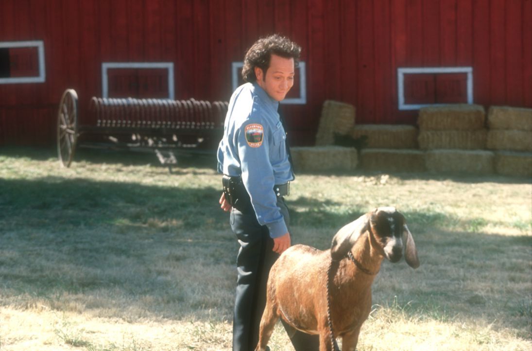 Seit einer eigenartigen Operation unter freiem Himmel fürchtet Marvin (Rob Schneider) weder Hund noch Herrchen ... - Bildquelle: 2003 Senator Film