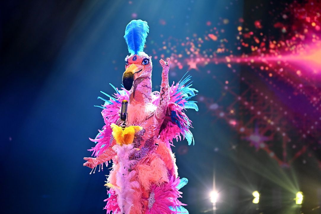 Der Flamingo - Bildquelle: Willi Weber ProSieben / Willi Weber