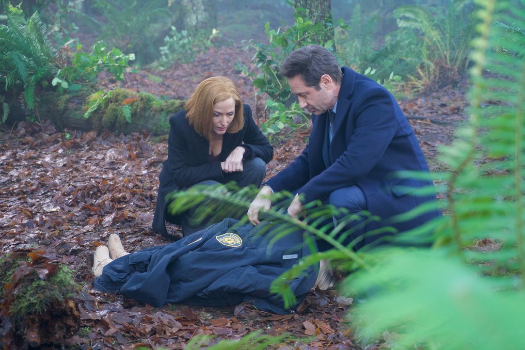 Als in Connecticut ein kleiner Junge angeblich von einem Tier ermordet wird, ahnen Scully (Gillian Anderson, l.) und Mulder (David Duchovny, r.) sch... - Bildquelle: Shane Harvey 2018 Fox and its related entities.  All rights reserved.