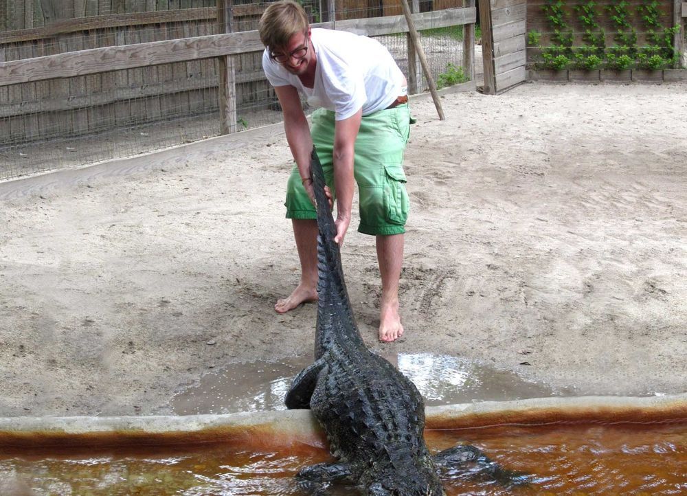 Joko packt beherzt zu: Keine Gnade für den Alligator! - Bildquelle: Marcus Höhn ProSieben