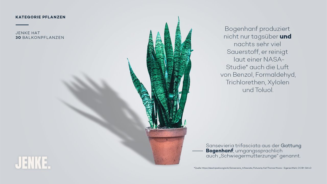Pflanzen - Bildquelle: ProSieben