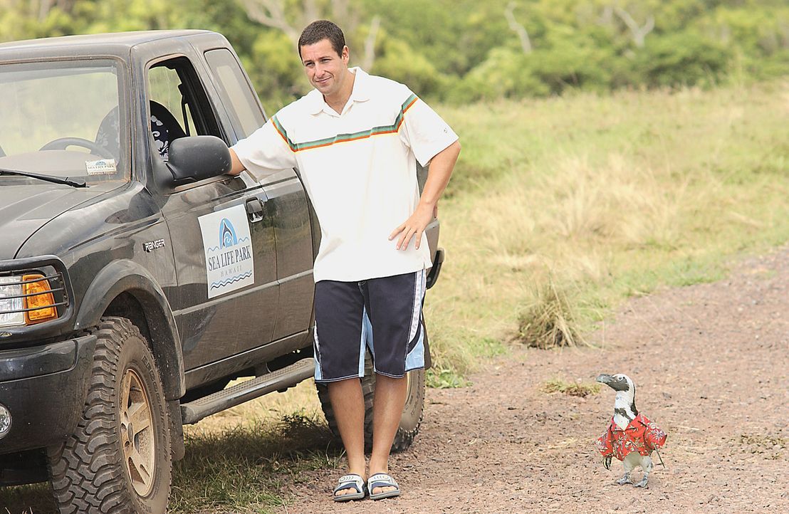 Obwohl Henry (Adam Sandler) weiß, dass Lucy ihr Kurzzeitgedächtnis verloren hat, lässt er sich nicht abschrecken und wirbt um seine Traumfrau - j... - Bildquelle: Sony Pictures Television International. All Rights Reserved.