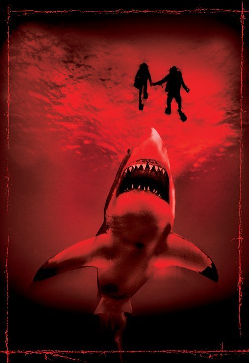Ein gigantischer, ewig hungriger Fleischfresser, der alles Leben in die Tiefe zerrt, wartet auf neue Opfer: der Bullenhai, der gefährlichste Hai der... - Bildquelle: 2003 Sony Pictures Television Inc. All Rights Reserved.