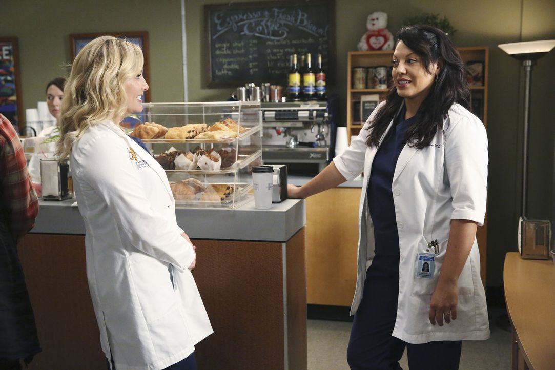 Schwere Entscheidung: Callie (Sara Ramirez, r.) und Arizona (Jessica Capshaw, l.) wollen ein Baby. Ob sie sich auf eine Leihmutterschaft einigen kön... - Bildquelle: ABC Studios
