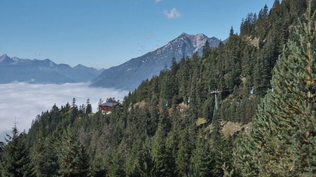 Förster findet vermisstes Mädchen im Wald