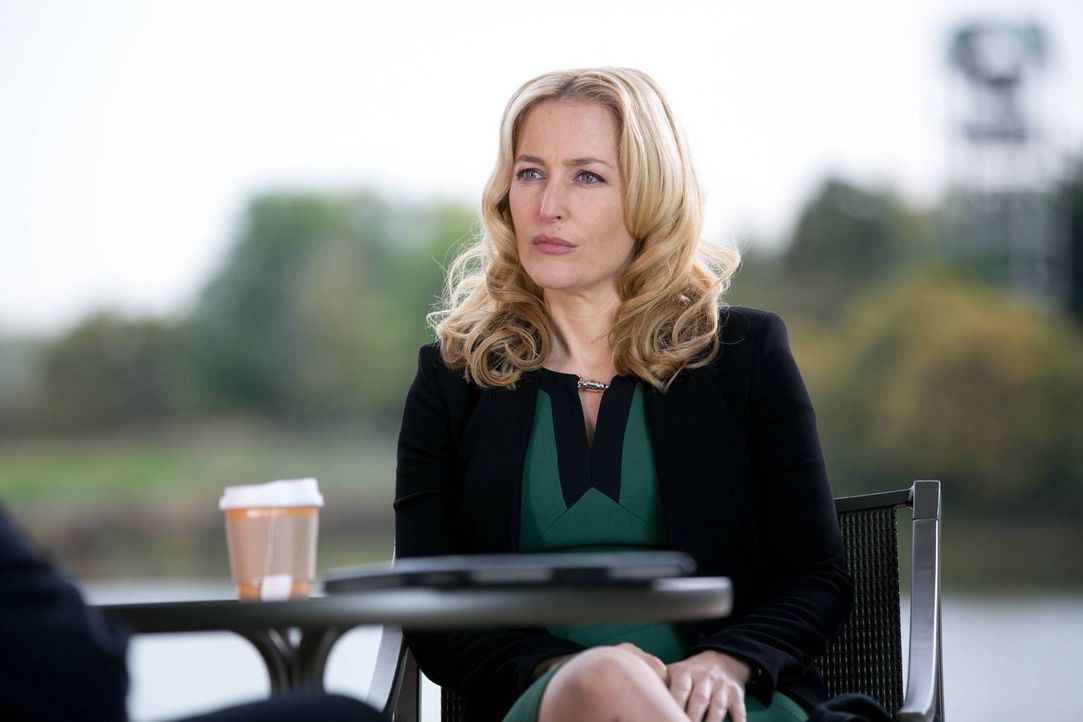 Was hat Meg Fitch (Gillian Anderson) vor - um ihre Tochter zu retten? - Bildquelle: 2013-2014 NBC Universal Media, LLC. All rights reserved.