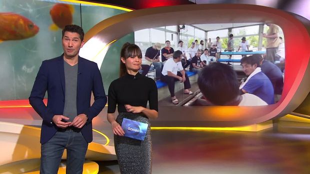 Galileo - Galileo - Sonntag: Goldfisch-boom In Japan