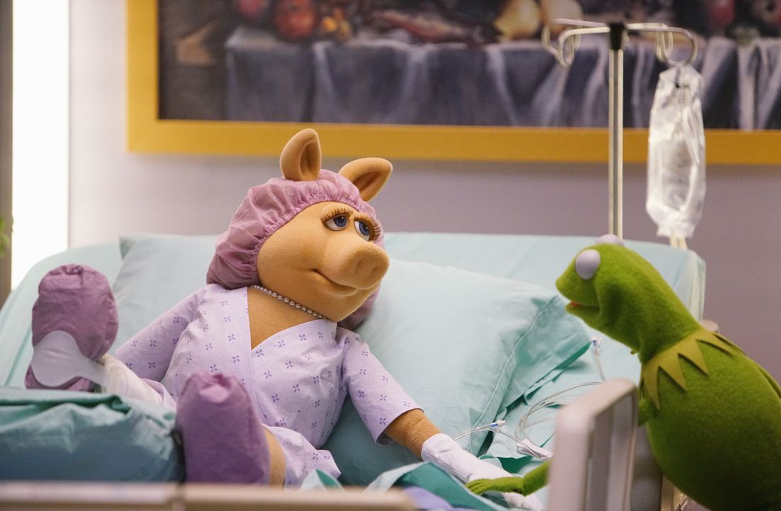 Als Miss Piggy (l.) sich bei den Proben für eine Tanzeinlage das Bein bricht, beschließt Kermit (r.), ihre Show aus dem Krankenhaus zu senden. Doch... - Bildquelle: ABC Studios