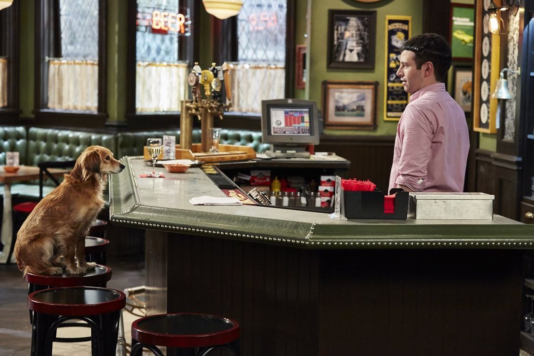 Undateable Ein streunender Hund kommt in eine Bar ProSieben