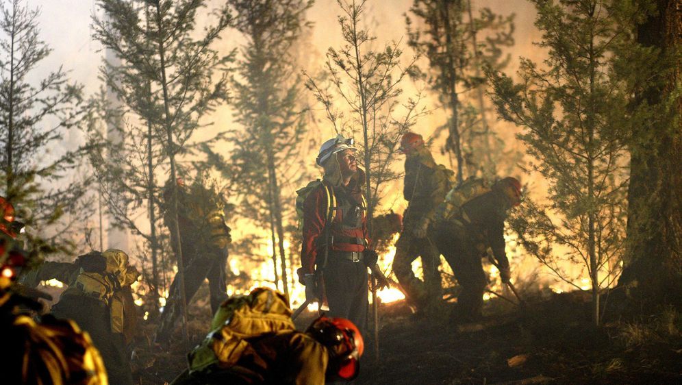 Wildfires - Lauffeuer