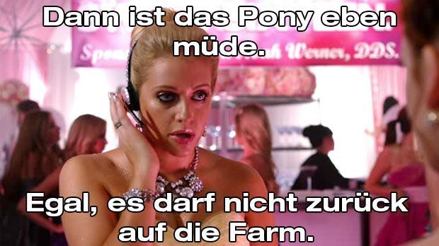 Dalia_muedes_Pony