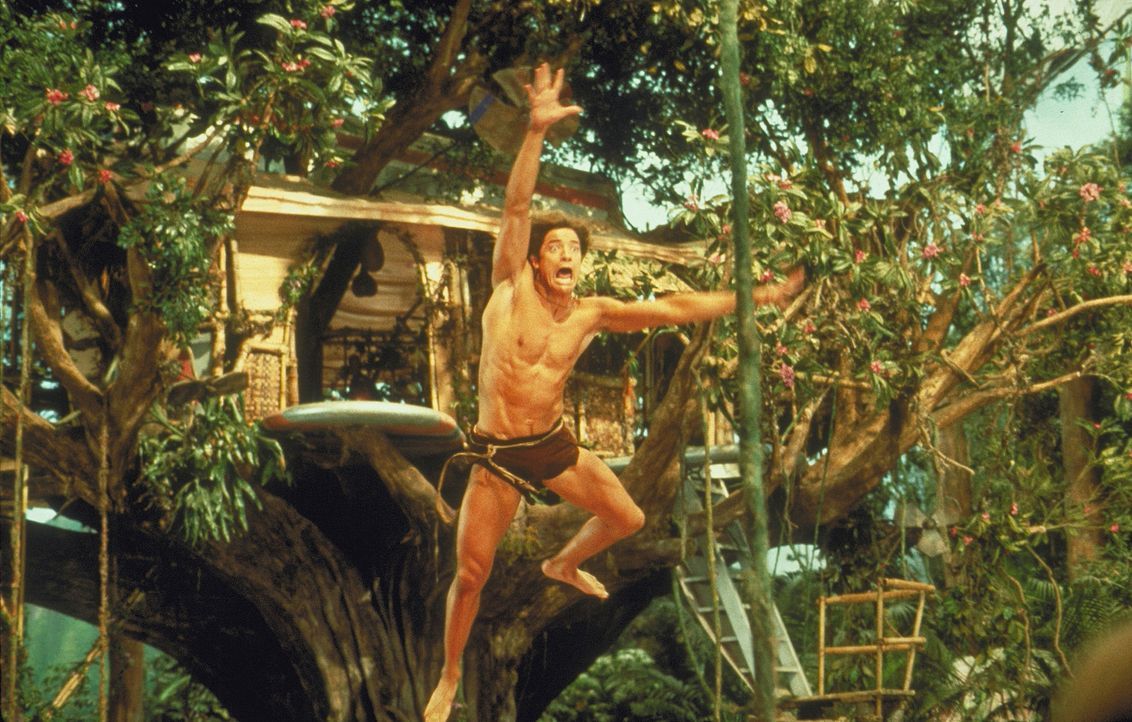 Mit den Lianen hat George (Brendan Fraser) so seine Probleme. Immer wieder stehen im Dschungel Bäume, wo sie nicht hingehören ... - Bildquelle: Disney Enterprises Inc.