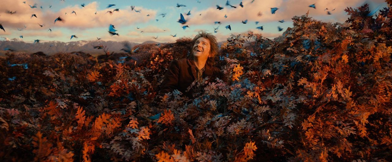 Auf den Baumkronen sitzend, schaut der Finsterwald für Bilbo (Martin Freeman) gar nicht mehr so düster aus. Vielleicht schaffen er und die Zwerge es... - Bildquelle: 2013 METRO-GOLDWYN-MAYER PICTURES INC. and WARNER BROS. ENTERTAINMENT INC.