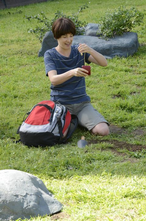 Robin (Cobie Smulders) sucht im Central Park nach einem Medaillon, das sie als junges Mädchen dort heimlich vergraben hatte ... - Bildquelle: 2013 Twentieth Century Fox Film Corporation. All rights reserved.