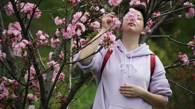 Blumige Düfte in ätherischen Ölen