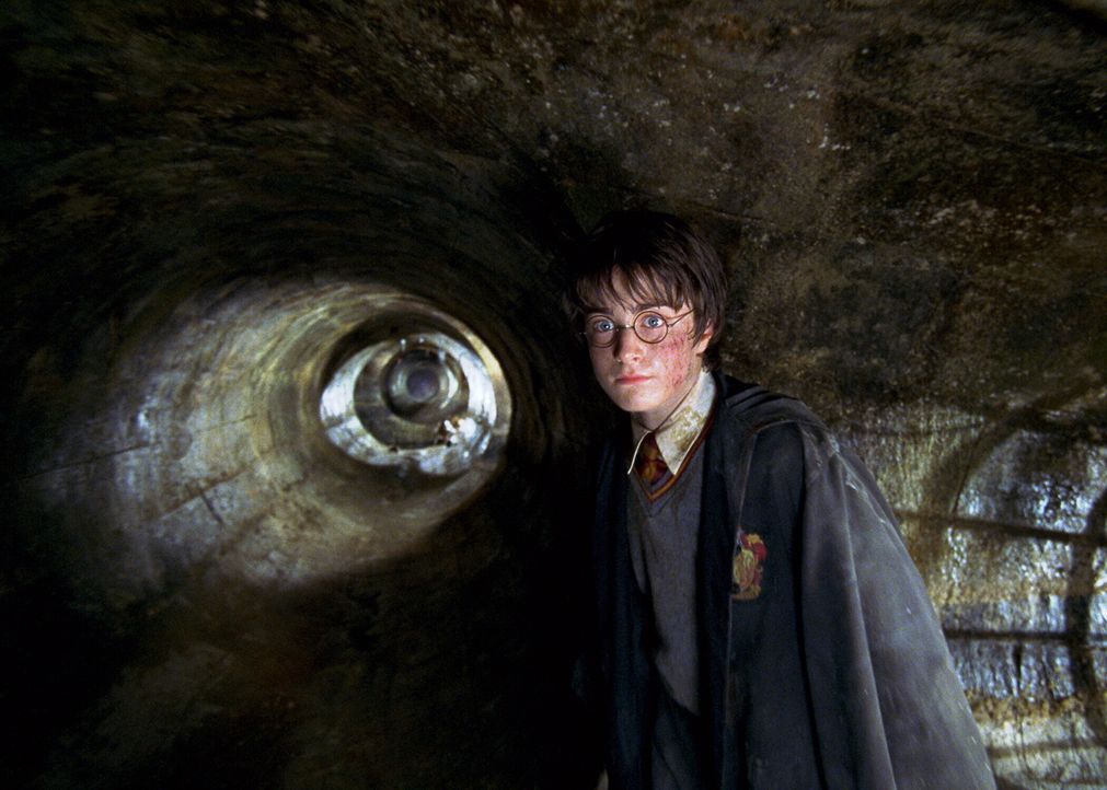 Als "Hogwarts Schule für Hexerei und Zauberei" bedroht wird, machen sich Harry Potter (Daniel Radcliffe) und seine Freunde daran, einem bitterbösen... - Bildquelle: Warner Bros. Pictures