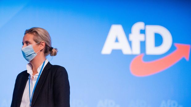 Landesverfassungsschutz durfte AfD-Prüffall nicht öffentlich machen