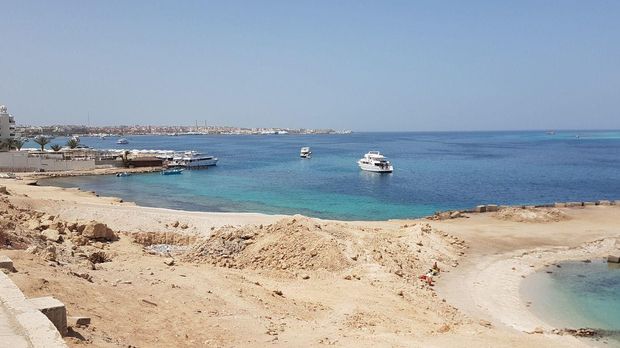Hai-Angriff in Hurghada - Österreicherin getötet