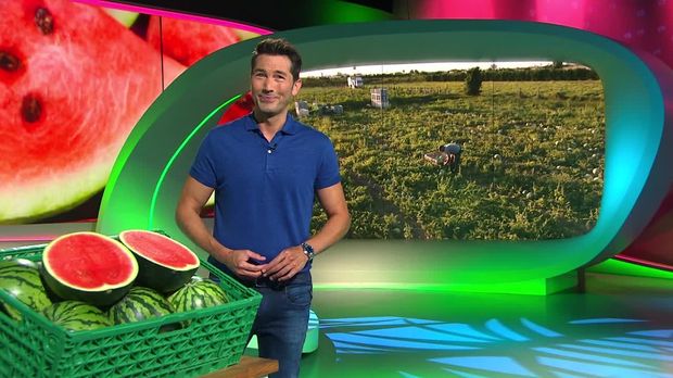 Galileo - Galileo - Mittwoch: Daran Erkennst Du Eine Reife Wassermelone