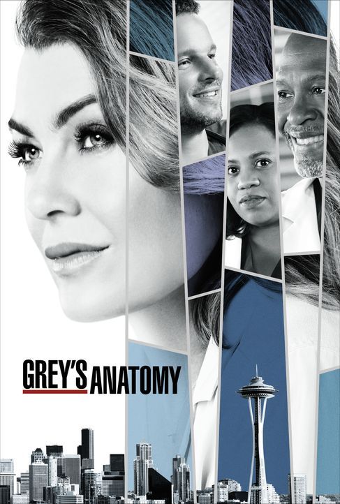 (14.Staffel) - Grey's Anatomy - Die jungen Ärzte - Artwork - Bildquelle: ABC Studios