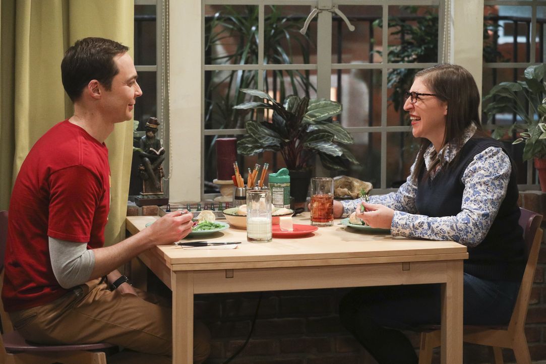 Sheldon (Jim Parsons, l) und Amy (Mayim Bialik, r.) haben mit Veränderungen im Comicbuchladen und Streitereien im Freundeskreis zu kämpfen ... - Bildquelle: Warner Bros. Television