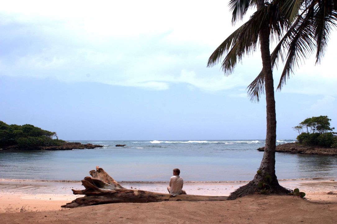 Der Rockstar Jason Masters (Chris Carmack) strandet auf einer einsamen Insel. Was er nicht weiß: Die Insel ist nicht so einsam, wie er glaubt ... - Bildquelle: Media 8 Entertainment