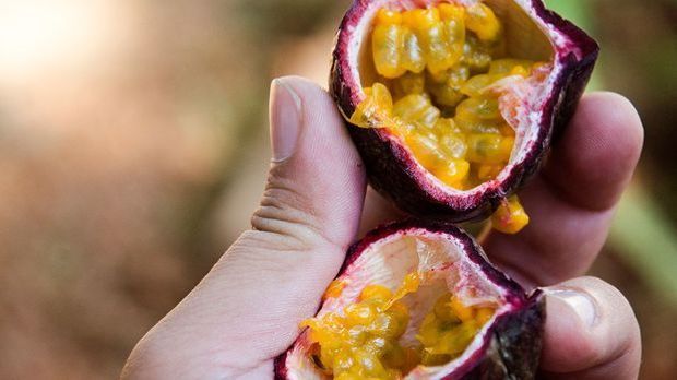 Passionsfrucht: Exotische Früchtchen