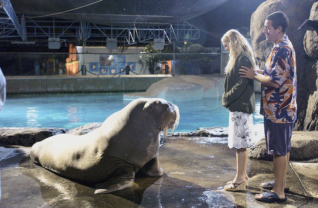 Um Lucys (Drew Barrymore, l.) Herz zu erobern, muss Henry (Adam Sandler, r.) überaus einfallsreich sein ... - Bildquelle: Sony Pictures Television International. All Rights Reserved.