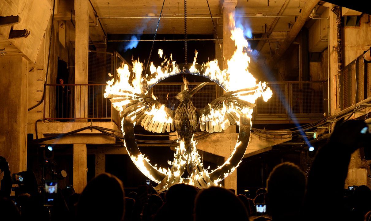 Symbol-Mockingjay-14-11-11-Berlin-dpa - Bildquelle: dpa