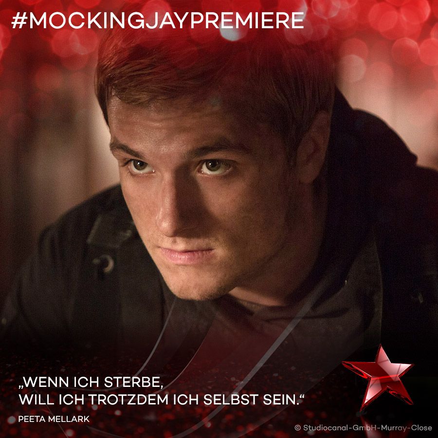 Stars Die Besten Zitate Aus Die Tribute Von Panem Prosieben
