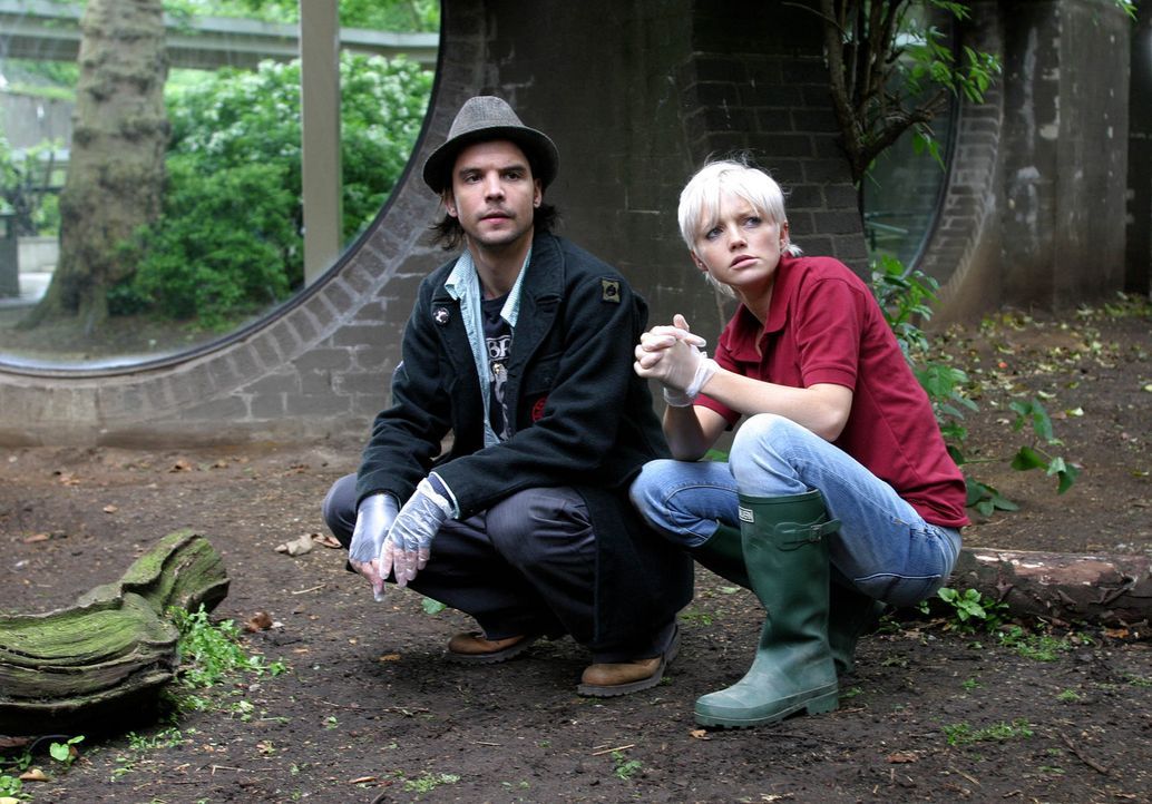Auf der Suche nach Spuren: Abby (Hannah Spearritt, r.) und Connor (Andrew Lee Potts, l.) ... - Bildquelle: ITV Plc