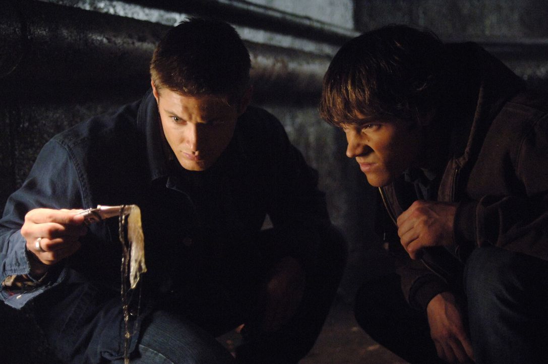 Sam (Jared Padalecki, r.) und Dean (Jensen Ackles, l.) machen eine grausame Entdeckung ... - Bildquelle: Warner Bros. Television