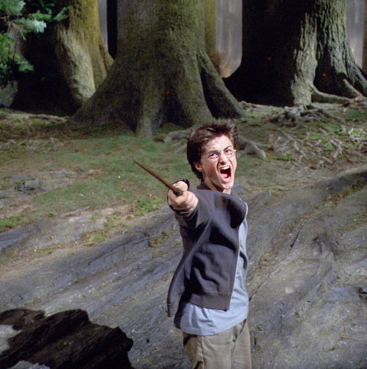 Harry Potter (Daniel Radcliffe) muss seinen ganzen Mut aufbringen und all seine außergewöhnlichen Fähigkeiten einsetzen, um das Geheimnis zu lüften,... - Bildquelle: Warner Television
