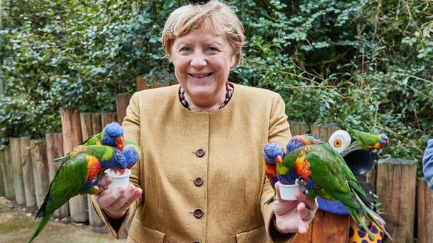 Der etwas andere Angela Merkel-Rückblick: Von Mode und Papageien