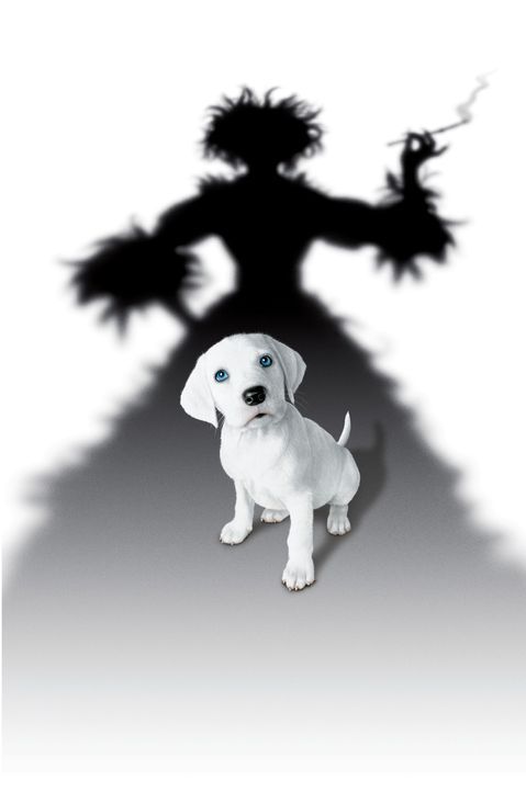 Cruella de Vil ist zurück und ist wieder auf der Jagd nach den süßen Vierbeinern ... - Bildquelle: Walt Disney Pictures