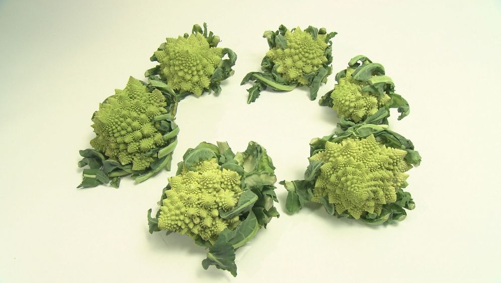 Galileo - Gebratener Romanesco - ProSieben