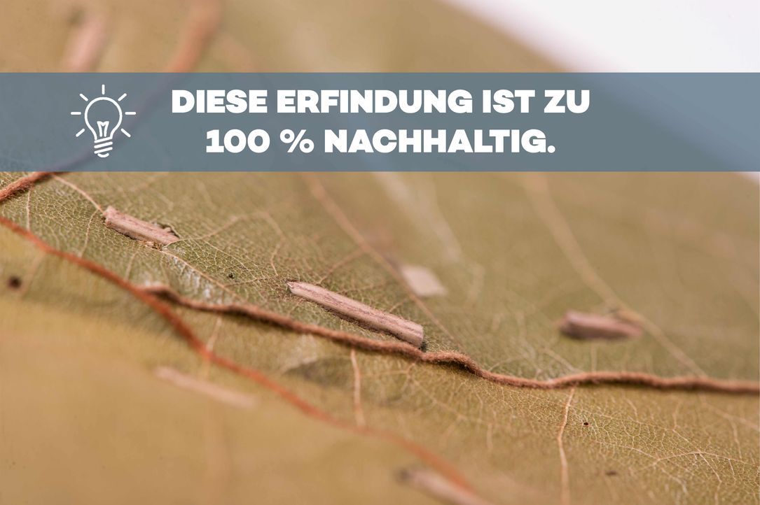 P7_DasDing_3_BU - Bildquelle: ProSieben/Willi Weber