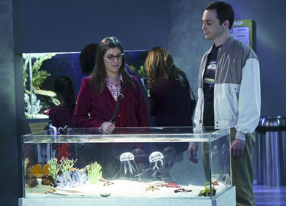 Es ist Thanksgiving. Sheldon (Jim Parsons, r.) und Amy (Mayim Bialik, l.) treffen sich als Freunde zum Mittagessen im Aquarium, während die anderen... - Bildquelle: 2015 Warner Brothers