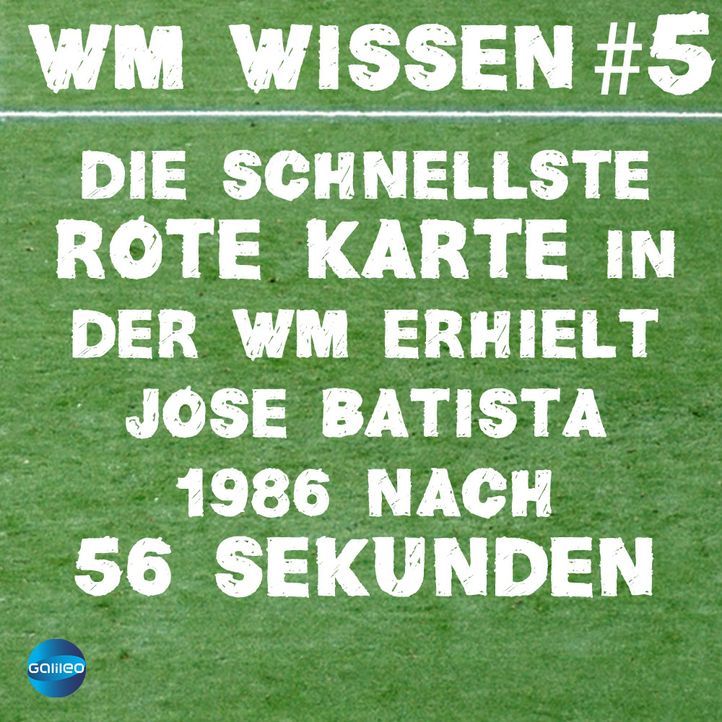 wmwissen5