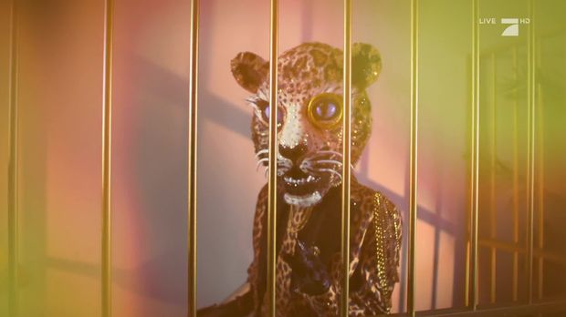 Der Leopard: "Ich brauche den Nervenkitzel" | The Masked ...