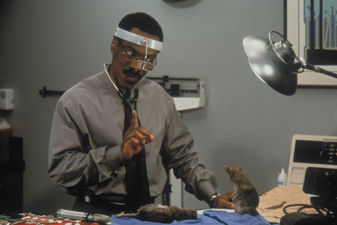 Spricht ein ernstes Wörtchen mit einer aggressiven Ratte: Tierarzt Dr. Dolittle (Eddie Murphy, l.) ... - Bildquelle: 1998 Twentieth Century Fox Film Corporation. All rights reserved.
