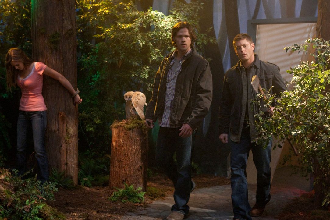 Kämpfen wieder gemeinsam gegen das Böse: Sam (Jared Padalecki, r.) und Dean Winchester (Jensen Ackles, M.) ... - Bildquelle: Warner Bros. Television