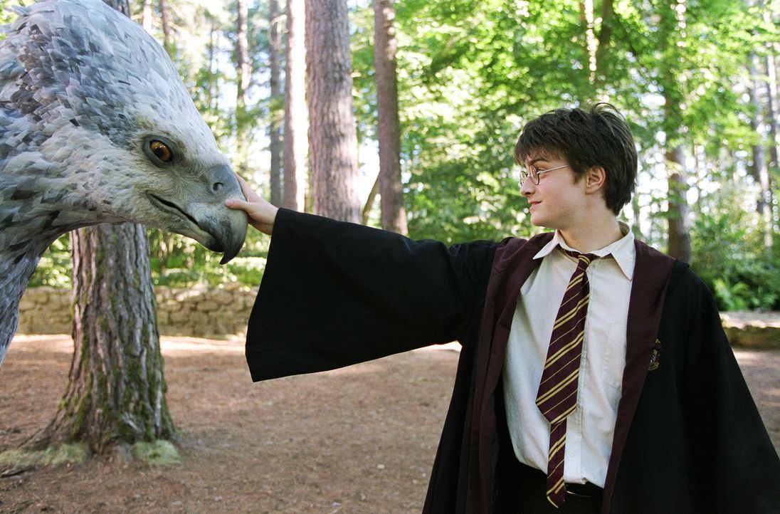 In seinem dritten Schuljahr auf Hogwarts lernt Harry (Daniel Radcliffe, r.) Seidenschnabel kennen, ein magisches Tier der Gattung 'Hippogreif' - hal... - Bildquelle: Warner Television